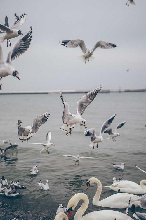 City of Dreams